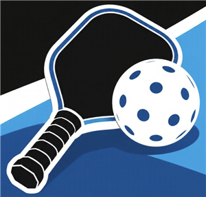 Pickleball Paddle and Ball